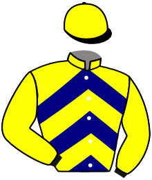 casaque portée par Blainville T. jockey du cheval de course BAT DRIM, information pmu ZETURF