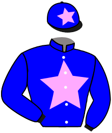 casaque portée par Levesque War. jockey du cheval de course MARCELINE DESJY, information pmu ZETURF