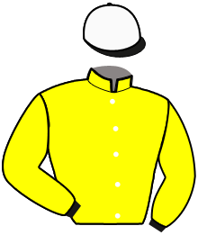 casaque portée par Bonne D. jockey du cheval de course LOVE ME DO, information pmu ZETURF
