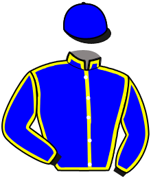 casaque portée par Martens C. jockey du cheval de course KINGSLAYER PELLINI, information pmu ZETURF
