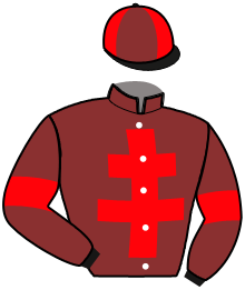 casaque portée par Marc J. jockey du cheval de course FEELING MESLOIS, information pmu ZETURF