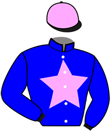casaque portée par Vollet Lau. jockey du cheval de course INASCOT THEO, information pmu ZETURF