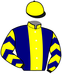 casaque portée par Goglin B. jockey du cheval de course MAJESTUEUSE, information pmu ZETURF