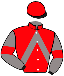 casaque portée par Ouvrie F. jockey du cheval de course MALAVISTA SOMOLLI, information pmu ZETURF