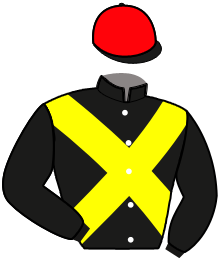 casaque portée par Rochard B. jockey du cheval de course LEONTINE CASH, information pmu ZETURF