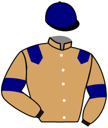casaque portée par Reveley J. jockey du cheval de course KIRSCH, information pmu ZETURF