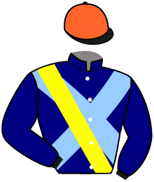 casaque portée par Faivre-picon G. jockey du cheval de course JEU D'ESPRIT, information pmu ZETURF