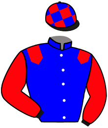casaque portée par Hardouin E. jockey du cheval de course KLARABELLE, information pmu ZETURF