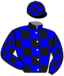 casaque portée par Barzalona M. jockey du cheval de course FUEGO DEL AMOR, information pmu ZETURF