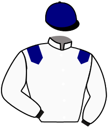 casaque portée par Lebouc Hug. jockey du cheval de course BLACK HAWK, information pmu ZETURF