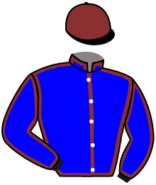 casaque portée par Brechet Léo P. jockey du cheval de course MANDARIN BASC, information pmu ZETURF