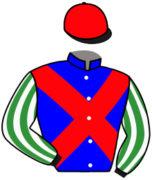 casaque portée par Brechet Léo P. jockey du cheval de course PLACENET, information pmu ZETURF
