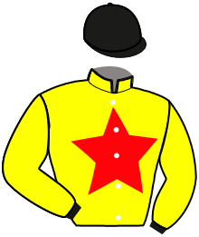 casaque portée par Omrani A. jockey du cheval de course HORIZON DE BLAY, information pmu ZETURF