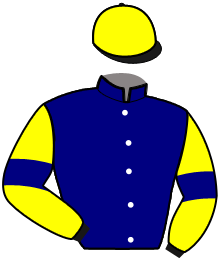 casaque portée par Dreux Ch. jockey du cheval de course MAGIC SATYNE, information pmu ZETURF