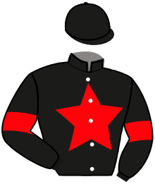 casaque portée par Izzo M. jockey du cheval de course MAYO DES FLOTS, information pmu ZETURF