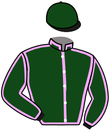 casaque portée par Lebrun J. S. jockey du cheval de course LOUSTIC D'ERABLE, information pmu ZETURF