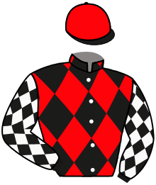 casaque portée par Neprasova Mme Len. jockey du cheval de course LOUDAYA, information pmu ZETURF