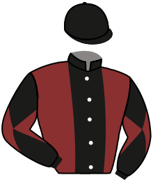 casaque portée par Michel Mlle Mic. jockey du cheval de course VALERTA, information pmu ZETURF