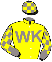 casaque portée par Hammer-hansen T. jockey du cheval de course LEONELLO, information pmu ZETURF