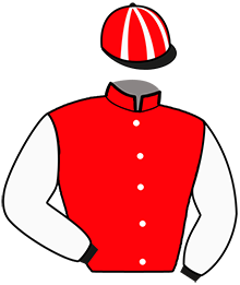 casaque portée par Puniere D. jockey du cheval de course MANITA D'AURE, information pmu ZETURF
