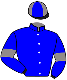 casaque portée par Besnier Mlle V. jockey du cheval de course JAMIN DE REVE, information pmu ZETURF