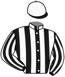 casaque portée par Besnier H. jockey du cheval de course JUNGLE PULSE, information pmu ZETURF