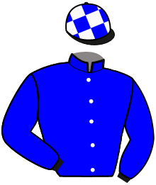 casaque portée par Foucault V. jockey du cheval de course LICORNE DU VAAL, information pmu ZETURF