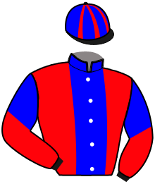 casaque portée par Vidotto E. jockey du cheval de course HALFAC BILOU, information pmu ZETURF