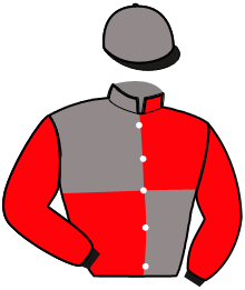 casaque portée par Alunda Mlle A. jockey du cheval de course GAELINE SERVINOISE, information pmu ZETURF