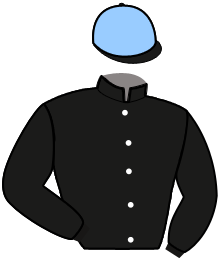casaque portée par Andre A. jockey du cheval de course LIGELLA DU VIVIER, information pmu ZETURF