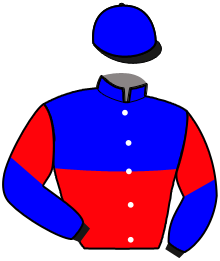 casaque portée par Durville Mar. jockey du cheval de course MALICIA STORY, information pmu ZETURF