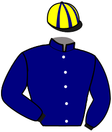 casaque portée par Lagadeuc F. jockey du cheval de course LIONEL DU DERBY, information pmu ZETURF