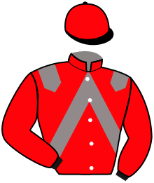 casaque portée par Herivaux Fla. jockey du cheval de course JIM DU PALAIS, information pmu ZETURF