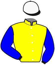 casaque portée par Lecanu F. jockey du cheval de course IL PRESIDENTE, information pmu ZETURF