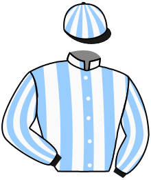 casaque portée par Salmon D. jockey du cheval de course TARMAK, information pmu ZETURF