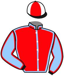 casaque portée par Favriaux Mal. jockey du cheval de course ELVETICA, information pmu ZETURF