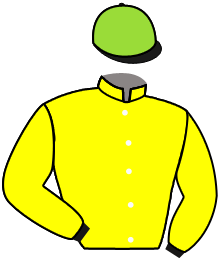 casaque portée par Collet-vidal Mlle C. jockey du cheval de course LE CHAT BOTTE, information pmu ZETURF