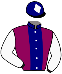 casaque portée par Boisseau L. jockey du cheval de course VIKING D'AUMONT, information pmu ZETURF