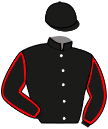 casaque portée par Beauchene Th. jockey du cheval de course HANDZARO DU BOCAGE, information pmu ZETURF