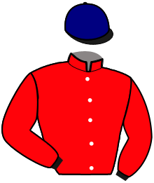 casaque portée par Duperche A. jockey du cheval de course GAROU DU CHENE, information pmu ZETURF