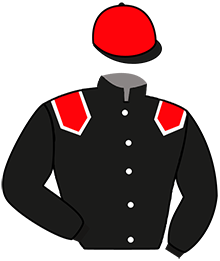 casaque portée par Abrivard A. jockey du cheval de course INDIGO PIERJI, information pmu ZETURF