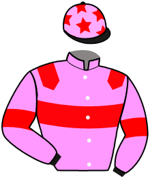 casaque portée par Constans T. jockey du cheval de course IN RED, information pmu ZETURF