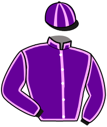 casaque portée par Bazire J. M. jockey du cheval de course ETHAN DRIVE, information pmu ZETURF