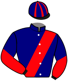 casaque portée par Rochard B. jockey du cheval de course HOBBES, information pmu ZETURF