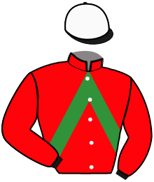 casaque portée par Lelievre Mlle C. jockey du cheval de course MISTER FOURCADE, information pmu ZETURF