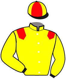 casaque portée par Thomain D. jockey du cheval de course IRIS DU PERCHE, information pmu ZETURF