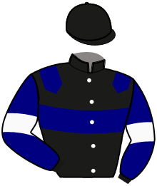 casaque portée par Gelormini G. jockey du cheval de course GLOBAL ATTENTION, information pmu ZETURF