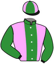 casaque portée par Saussaye V. jockey du cheval de course MHUM FLYNG, information pmu ZETURF
