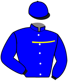 casaque portée par Rochard B. jockey du cheval de course HALO AM, information pmu ZETURF