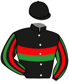casaque portée par Thomain D. jockey du cheval de course HERALDIQUE, information pmu ZETURF